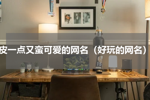 皮一点又蛮可爱的网名（好玩的网名）
