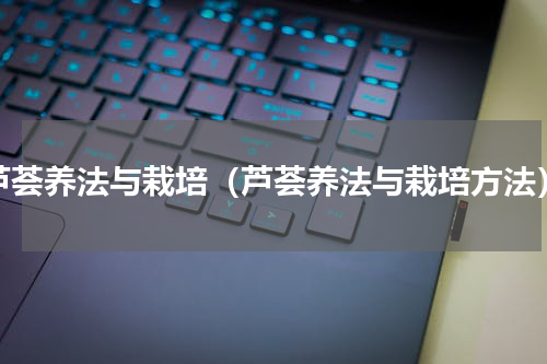 芦荟养法与栽培（芦荟养法与栽培方法）