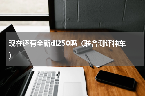 现在还有全新dl250吗（联合测评神车）