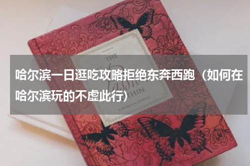 哈尔滨一日逛吃攻略拒绝东奔西跑（如何在哈尔滨玩的不虚此行）