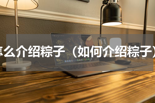 怎么介绍粽子（如何介绍粽子）