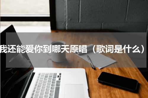 我还能爱你到哪天原唱（歌词是什么）