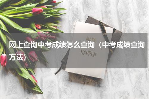 网上查询中考成绩怎么查询（中考成绩查询方法）