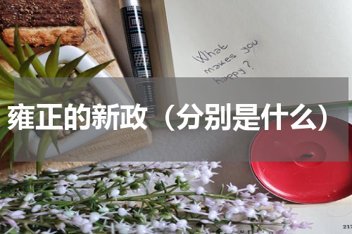 雍正的新政（分别是什么）