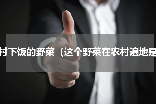 农村下饭的野菜（这个野菜在农村遍地是）