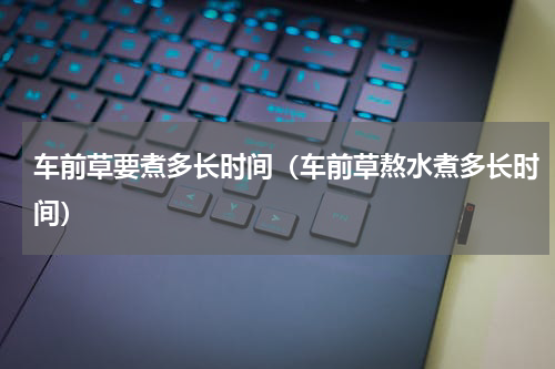 车前草要煮多长时间（车前草熬水煮多长时间）