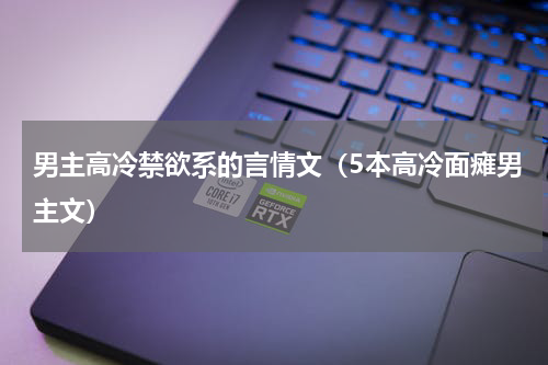 男主高冷禁欲系的言情文（5本高冷面瘫男主文）