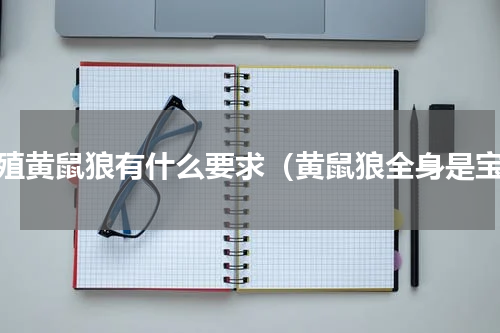 养殖黄鼠狼有什么要求（黄鼠狼全身是宝）