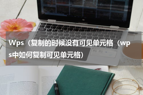Wps（复制的时候没有可见单元格（wps中如何复制可见单元格）