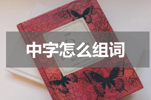 中字怎么组词