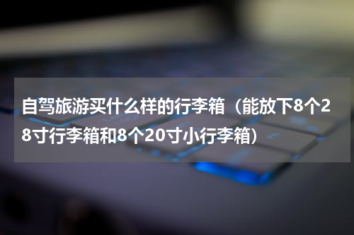 自驾旅游买什么样的行李箱（能放下8个28寸行李箱和8个20寸小行李箱）
