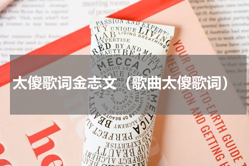 太傻歌词金志文（歌曲太傻歌词）