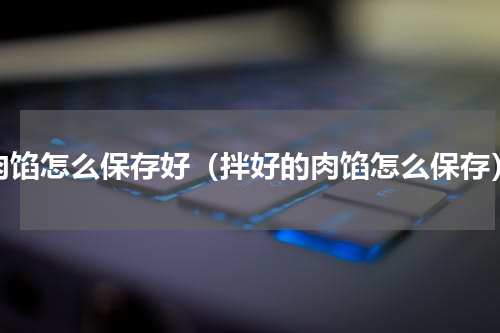 肉馅怎么保存好（拌好的肉馅怎么保存）