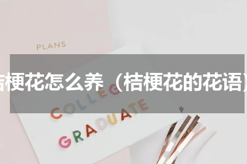 桔梗花怎么养（桔梗花的花语）