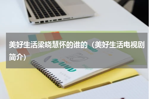 美好生活梁晓慧怀的谁的（美好生活电视剧简介）