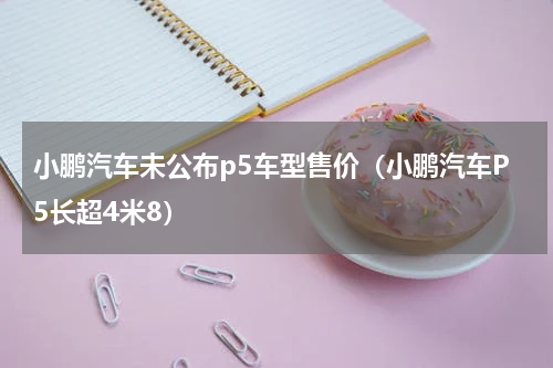 小鹏汽车未公布p5车型售价（小鹏汽车P5长超4米8）