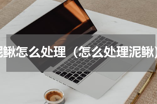 泥鳅怎么处理（怎么处理泥鳅）