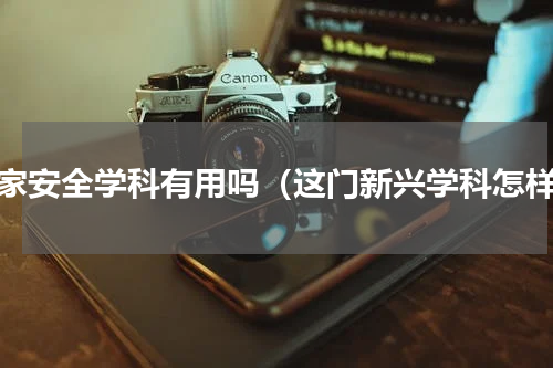 国家安全学科有用吗（这门新兴学科怎样）