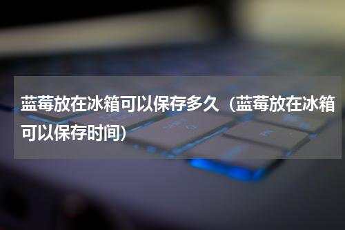 蓝莓放在冰箱可以保存多久（蓝莓放在冰箱可以保存时间）