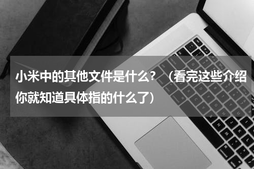 小米中的其他文件是什么？（看完这些介绍你就知道具体指的什么了）