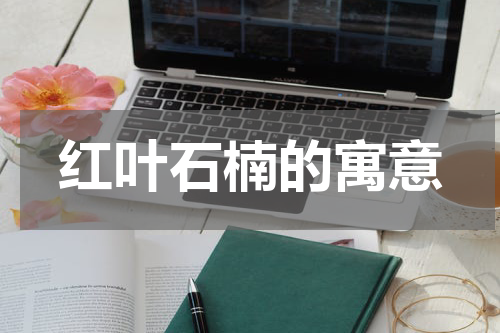 红叶石楠的寓意
