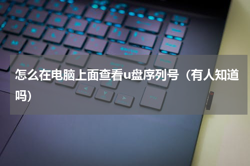 怎么在电脑上面查看u盘序列号（有人知道吗）