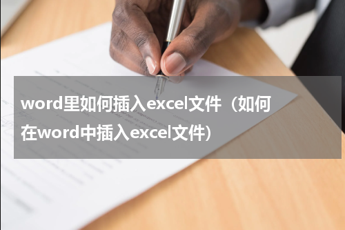 word里如何插入excel文件（如何在word中插入excel文件）