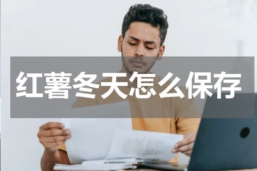 红薯冬天怎么保存