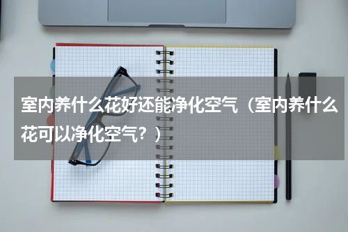 室内养什么花好还能净化空气（室内养什么花可以净化空气？）
