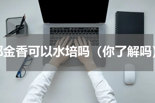 郁金香可以水培吗（你了解吗）