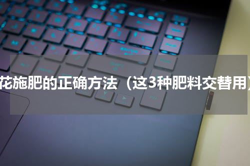 兰花施肥的正确方法（这3种肥料交替用）