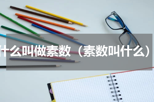 什么叫做素数（素数叫什么）