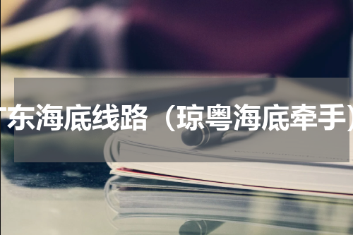 广东海底线路（琼粤海底牵手）