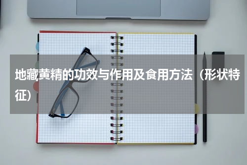 地藏黄精的功效与作用及食用方法（形状特征）