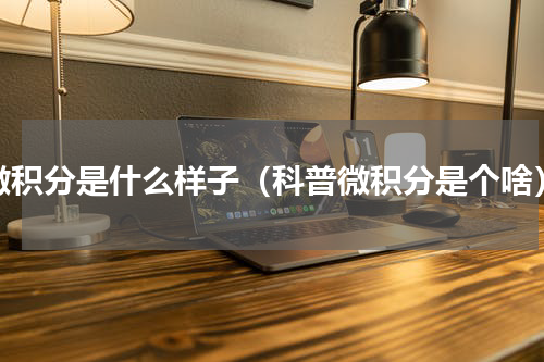 微积分是什么样子（科普微积分是个啥）