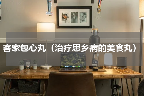 客家包心丸（治疗思乡病的美食丸）
