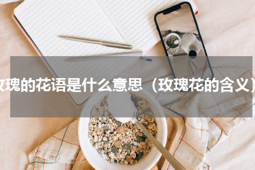 玫瑰的花语是什么意思（玫瑰花的含义）