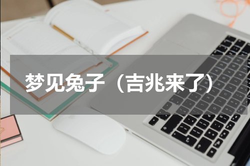 梦见兔子（吉兆来了）