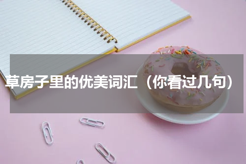草房子里的优美词汇（你看过几句）
