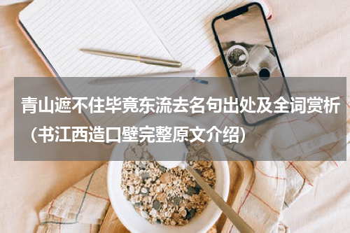 青山遮不住毕竟东流去名句出处及全词赏析（书江西造口壁完整原文介绍）