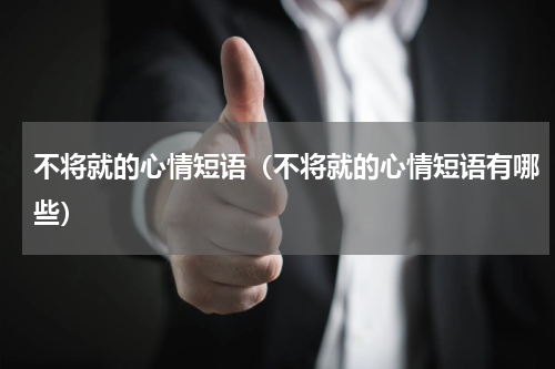 不将就的心情短语（不将就的心情短语有哪些）