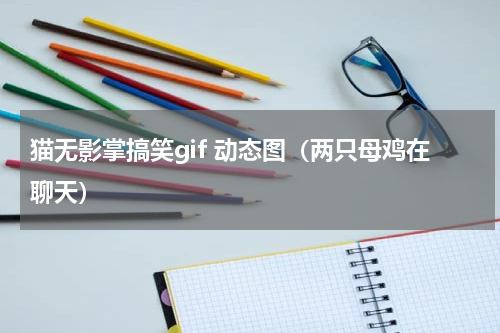 猫无影掌搞笑gif 动态图（两只母鸡在聊天）