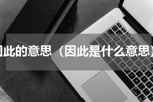 因此的意思（因此是什么意思）
