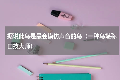 据说此鸟是最会模仿声音的鸟（一种鸟堪称口技大师）