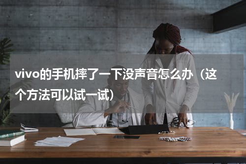vivo的手机摔了一下没声音怎么办（这个方法可以试一试）