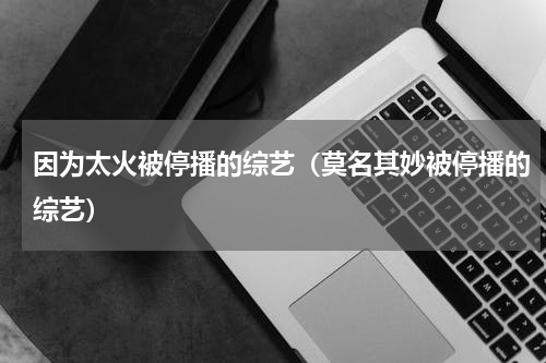 因为太火被停播的综艺（莫名其妙被停播的综艺）