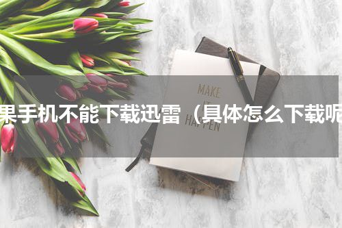 苹果手机不能下载迅雷（具体怎么下载呢）
