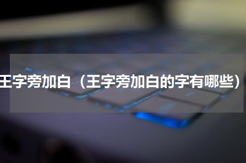 王字旁加白（王字旁加白的字有哪些）