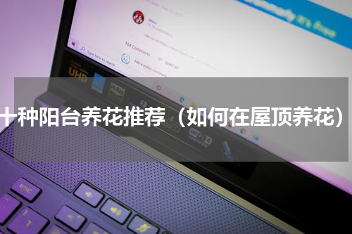十种阳台养花推荐（如何在屋顶养花）