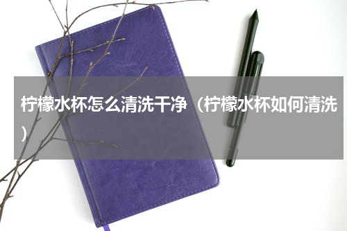 柠檬水杯怎么清洗干净（柠檬水杯如何清洗）